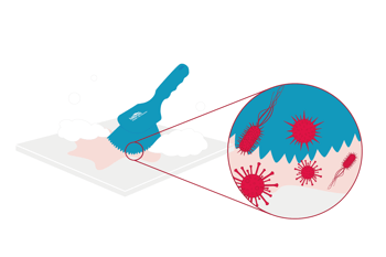 cross contamination diagram