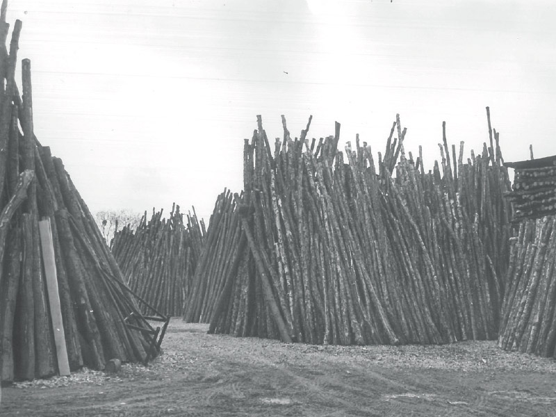 1948-woodpile